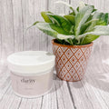 Clarity Sweet as Sugar Scrub - Panoply Beauty 