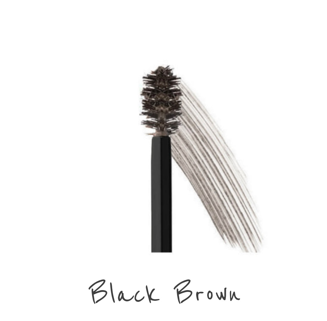 PANOPLY Tinted Brow Gel - Panoply Beauty 